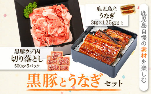 
C02052 鹿児島黒豚ウデ肉切り落とし(500g×5P)・うなぎ3尾セット【和田養豚】
