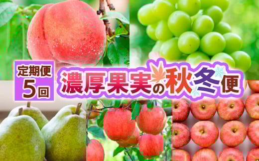 【定期便5回】濃厚果実の秋冬便 FY25-021