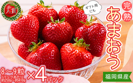 暖家のいちご　ギフト用完熟あまおう（８粒～９粒）×4パック 3Z2-S