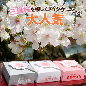 【年内ギフト配送可】【三島銘菓】　三島ざくら　三種詰め合わせ（黒糖餡/栗餡/しそ餡）12個セット【和菓子　お菓子　さくら　桜　饅頭　カステラ　スイーツ　お祝い　ご挨拶　ギフト　静岡県　三島市】