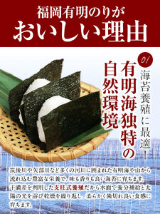 訳あり 海苔 のり 福岡有明のり 簡易包装 福岡産 有明海 全型80枚 40枚×2袋 送料無料 パリパリ！ 《45日以内に出荷予定(土日祝除く)》