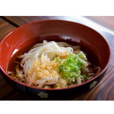 ふるさと納税 与謝野町 へじや製麺のうどん生麺10食セット 細麺タイプ　ぶっかけ(温)用特製だしつゆ付 |  | 02