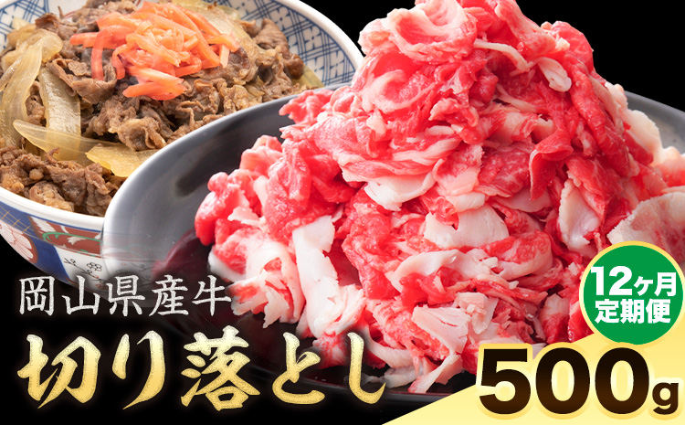 【12ヶ月定期便】岡山県産牛 切り落とし 交雑牛 500g お試し 大容量《お申込み月の翌月から出荷開始》 岡山県 笠岡市 肉 送料無料