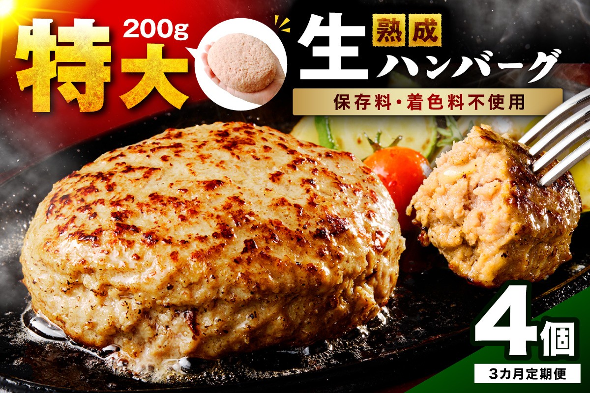 
                  無添加特大ハンバーグ200g 毎月4個 3回定期便 最初の月+1個【087C-106】
                
