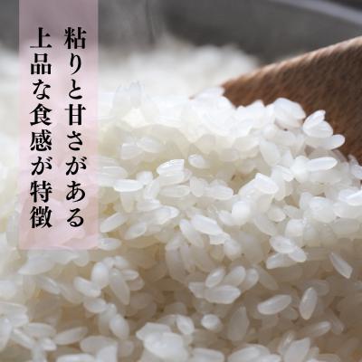 ふるさと納税 神埼市 【令和8年産 新米 先行受付】ひよくもち10kg(5kg×2) 農園(H061D28) |  | 01