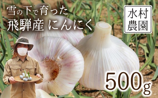 《先行予約》飛騨産 にんにく 500g ニンニク【7月中旬〜12月発送】水村農園 [Q3219]