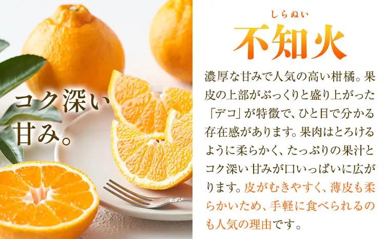 秀品 不知火 ( デコポン ) と同品種 約2kg しらぬい