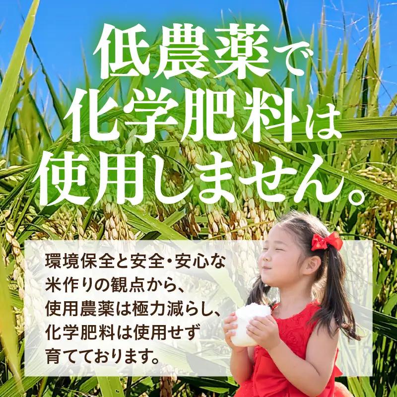 【先行予約】【令和8年産】【定期便6回】≪6ヶ月連続お届け≫ 化学肥料不使用 ミルキークイーン 精米 4kg (真空パック1kg×4袋) × 6回（合計24kg）※2026年10月上旬より順次発送予定
