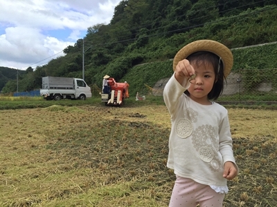 食味値80点以上　お米　精米　にじのきらめき　３ｋｇ／民ちゃん農園　キャンプ　有機肥料　ハイグレード　極上　おいしい米　ミネラル　奈良県　宇陀市　大和高原