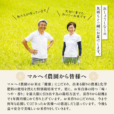ふるさと納税 米沢市 令和7年産 特別栽培米 雪若丸 10kg ( 5kg×2袋 ) |  | 02