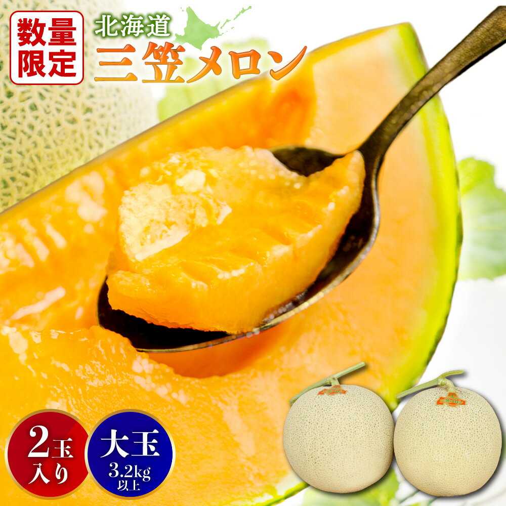 【ふるさと納税】【SDGs】《2025年分受付中》大玉！とろける食感の北海道三笠メロン2玉入(3.2kg以上) メロン 2玉 フルーツ 3.2kg 果物 デザート グルメ 旬 取り寄せ 贈り物 ふるさと納税 三笠市 三笠【0106202】