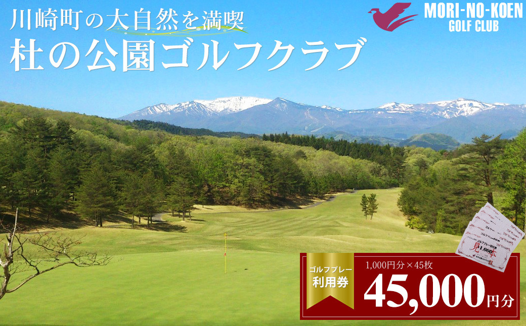 
                  杜の公園ゴルフクラブ　ゴルフ利用券   45,000円分　【04324-0299】
                