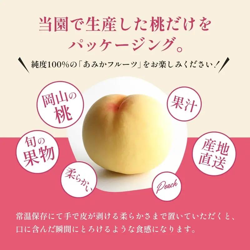 桃 先行予約 8月 白桃 お届け 3玉 約900g 糖度12度以上 もも モモ 岡山県 赤磐市産 フルーツ 果物 桃