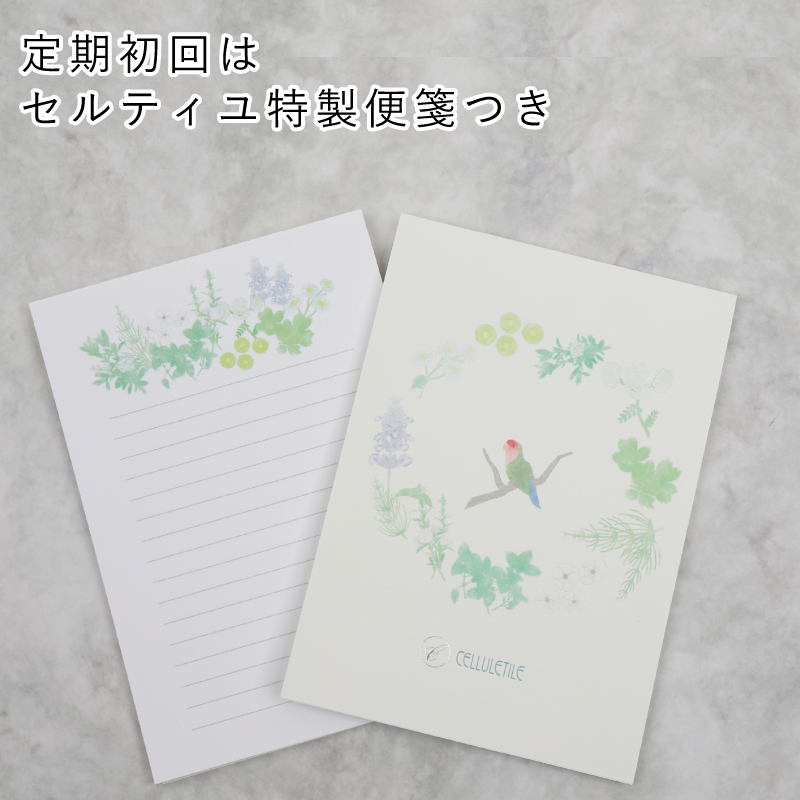 【全3回定期便】セルティユ素肌アイクリーム 15g×2個（3回） [オリジナル成分マロンエキス配合]