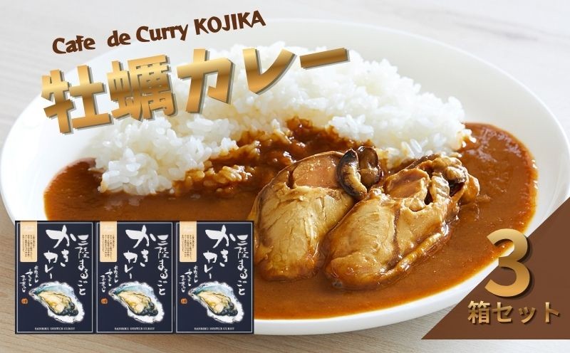 
                  牡蠣 カレー 3食 レトルト かれー curry スパイス スパイシー 簡単 時短 ごはん 夕飯 おかず 常温 保存 常温保存 パスタソース レンジ 加工食品 惣菜 大船渡 三陸 岩手県 国産 かき カキ レトルトカレー お手軽 カレー専門店 玉ねぎ 大船渡市 岩手県 10000円 1万円
                