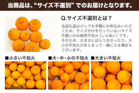 『清晃アグリ』のご家庭用不知火(しらぬい)約4kg(L-4Lサイズ)10玉-16玉前後《3月上旬-3月末頃出荷》 予約受付中 フルーツ 旬★デコポンと同品種★熊本県玉名郡玉東町
