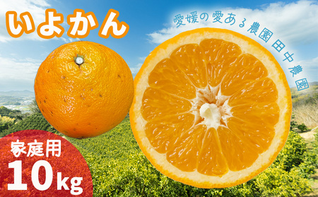  伊予柑 いよかん 約10kg  【家庭用】【1月上旬から順次発送】柑橘類 先行予約 フルーツ 柑橘類 先行予約 果物 フルーツ みかん イヨカン 宮内伊予柑 人気 おすすめ 愛媛 松山 田中農園【TNN0061】