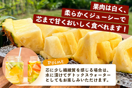 《2024年4月～7月下旬発送》【先行予約】最高糖度20度！？ 完熟の極 石垣島産パイナップル　ピーチパイン3個セット　TF-1