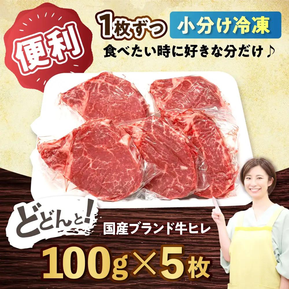 希少部位 瀬戸山麓牛 ヒレステーキ 500g(100g×5) / 牛肉 ヒレ ステーキ / 瀬戸市 /合資会社関屋精肉店[BBBQ057]