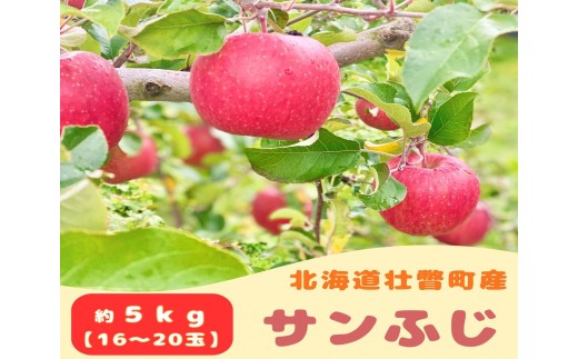 ファームアグリエイトのりんご「サンふじ」約5kg（16～20玉） 【 ふるさと納税 人気 おすすめ ランキング 北海道 壮瞥 りんご 蜜入り 5kg ふじ サンふじ 甘い 果物 おいしい 贈り物 贈物 贈答 ギフト 大容量 詰合せ セット 送料無料 】 SBTB015