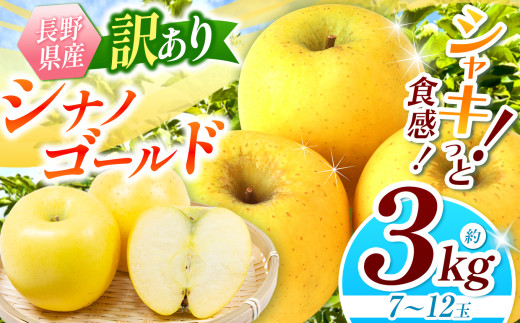 【2025年先行予約】訳あり シナノゴールド 3kg ｜ 浅野農園 リンゴ りんご 林檎 果物 くだもの フルーツ 果実 果汁 シナノゴールド 訳あり 長野県 松川村 信州