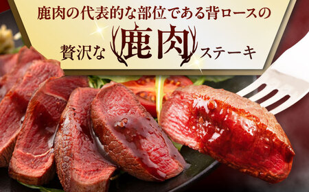 【全6回定期便】鹿肉 背ロース 4枚  ジビエ 赤身 冷凍配送 北海道 [AJAO038]