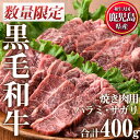 【ふるさと納税】＜数量限定＞鹿児島県産黒毛和牛焼肉セット(合計400g・ハラミ焼肉200g×1P、サガリ焼肉200g×1P)国産 九州産 牛肉 黒毛和牛 和牛 焼肉 焼き肉 赤身 ハラミ サガリ 霜降り 食べ比べ セット 冷凍【カミチク】