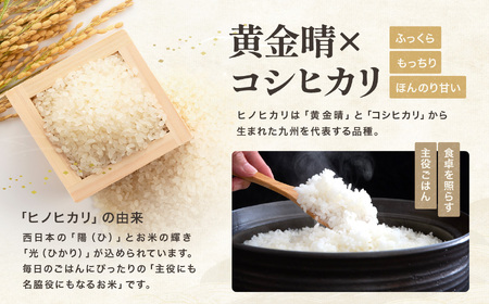 ゆうちゃんファームのお米 5kg ヒノヒカリ | 新米 減農薬栽培 精米直送 令和7年新米 大分県産 中津 和食 朝ごはん お米 米 おこめ こめ 精米 白米 九州産 国産 国産米 ひのひかり 大分県