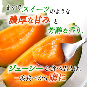 【令和8年産】赤肉メロン JAふらの厳選！ 約2kg 2玉 メロン めろん 富良野メロン 果物 くだもの フルーツ 富良野 デザート 北海道 果物類 メロン赤肉