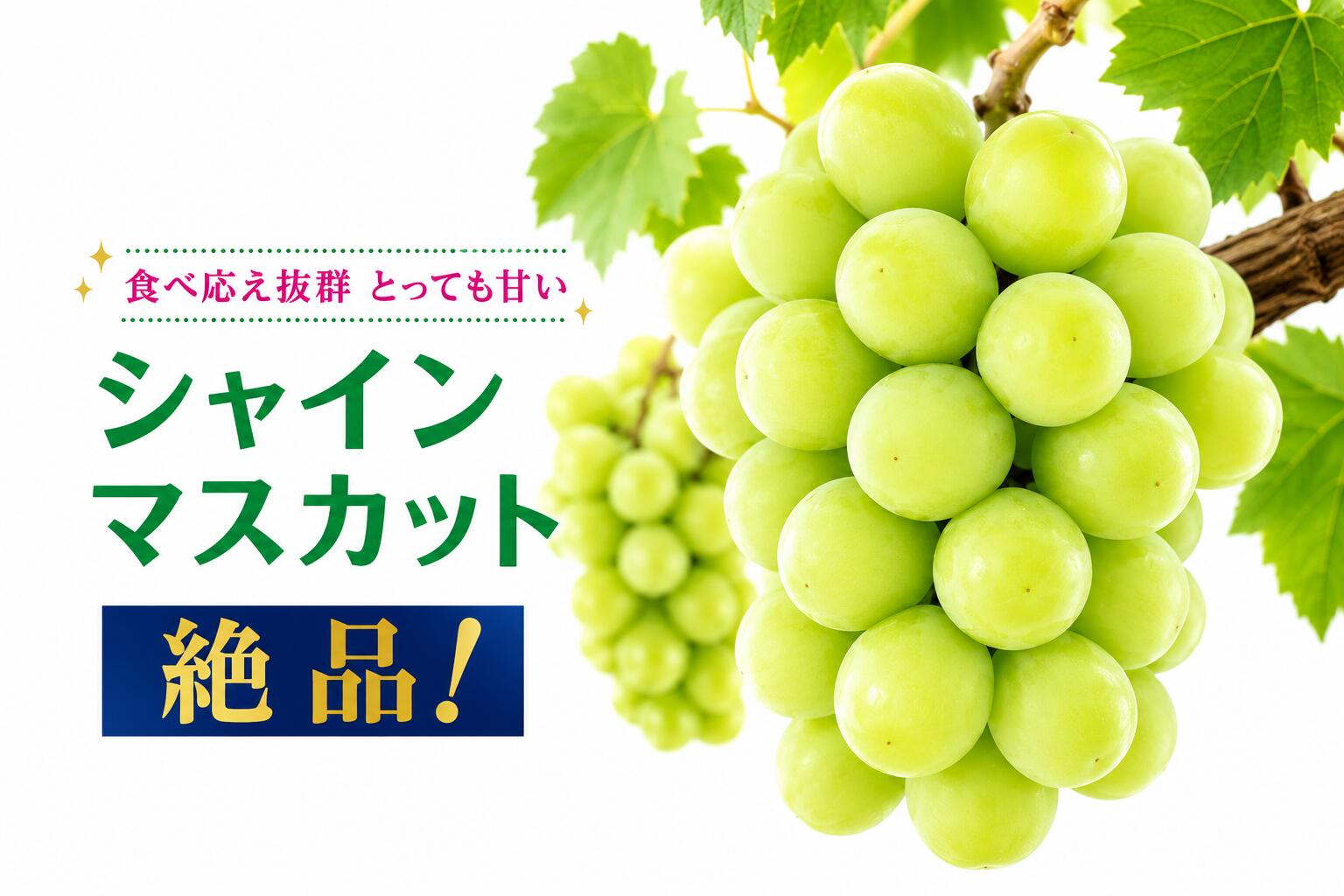 【ふるさと納税】 シャインマスカット 3〜4房 約2kg 甘い 贈答 ギフト ぶどう フルーツ 果物 数量限定 送料無料 産地直送 【2026年発送】