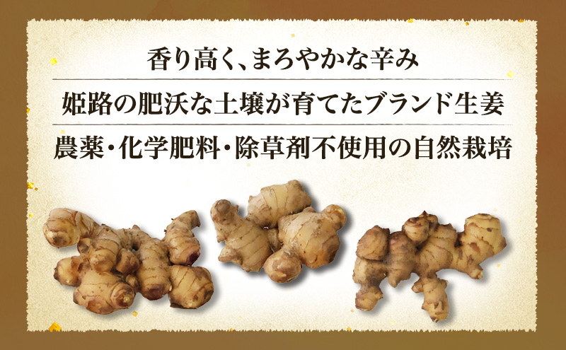 自然栽培で育てた甘くて瑞々しい姫路産新しょうが1.5kg 生姜 国産 栽培期間中 農薬 不使用 ショウガ 産地直送 農産物品評会 受賞