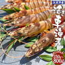 【ふるさと納税】【配送期間2024年11月20日から2025年1月31日】【配送日指定品】上天草産活き車海老 250g～800g 約8尾～40尾 選べる内容量 選べる 魚介 海鮮 活き海老 海老 えび くるまえび 車海老 国産 活魚 熊本県 上天草市 送料無料