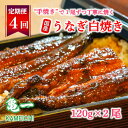 【ふるさと納税】 定期便 4回 国産 うなぎ 鰻 白焼 白焼き しら焼き120g 2本 土用 丑の日 老舗 亀一 特製 タレ 真空パック ひつまぶし ギフト 贈答 冷凍 お取り寄せ お祝い