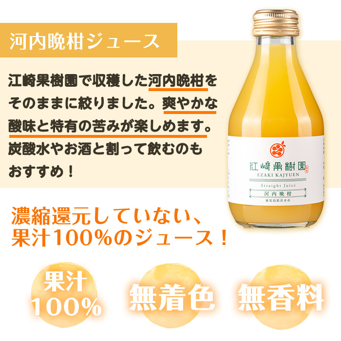 i990-A 河内晩柑ジュース(180ml×5本) 飲料 ジュース みかん 蜜柑 果汁 100% 河内晩柑 無着色 無香料 ストレートジュース 安心安全 ギフト 贈り物 贈答【江崎果樹園】