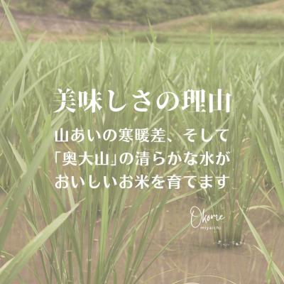 ふるさと納税 江府町 コシヒカリ 5kg 特別栽培米 鳥取県江府町産 こしひかり 精米 産地直送 5キロ 0931 |  | 01