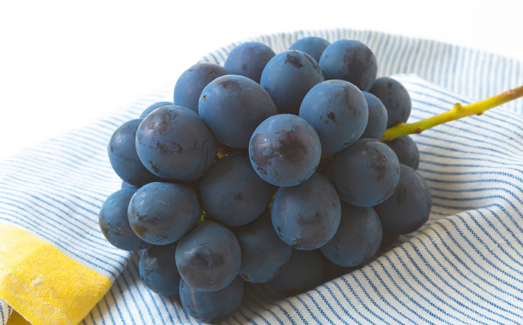 BKシードレス 4～5房 （約2kg）