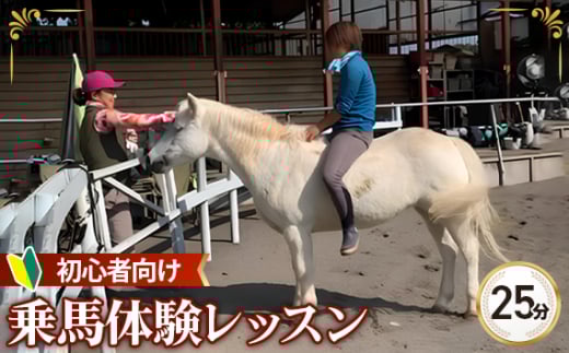 乗馬 体験 レッスン チケット 25分 | 馬 うま 乗馬 体験 レッスン 初心者 自然 シエナ乗馬クラブ 埼玉県 狭山市