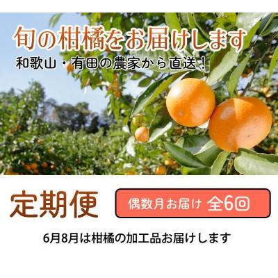 ふるさと納税 広川町 【発送月固定定期便】家庭用 柑橘定期便S(偶数月)全6回 |  | 01