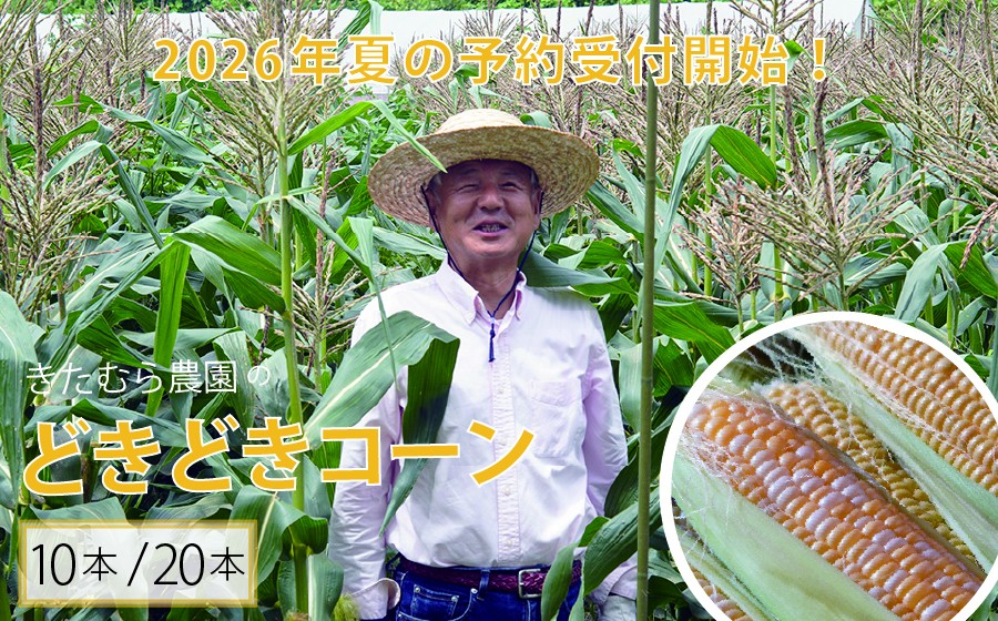 
            2026年夏の早期予約受付開始！『きたむら農園のどきどきコーン』10本セット/ 20本セット　 生で食べられる信濃町名産 朝採れとうもろこし／スイートコーンの定番品種 令和8年7月下旬～8月下旬に出荷予定 【長野県信濃町】
          