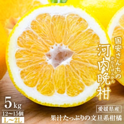 国安さんちの河内晩柑5kg【C20−20】【1094579】
