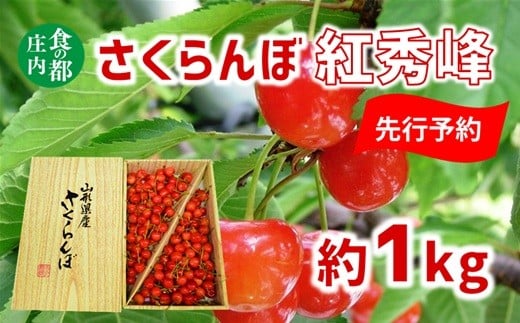【2026年産 先行予約】食の都庄内 さくらんぼ紅秀峰 約1kg※2026年7月上旬頃より発送開始予定