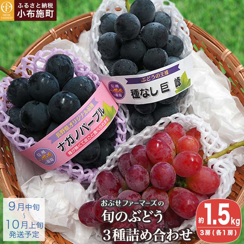 【ふるさと納税】長野県産 旬のぶどう3種セット 種無し巨峰 ナガノパープル 赤系ぶどう 各1房 約1.5kg［おぶせファーマーズ］ 詰め合わせ 詰合せ 食べ比べ 先行予約 果物 フルーツ ぶどう 葡萄 信州産 デザート クール便 冷蔵便 令和7年産【2025年9月中旬～10月上旬発送】