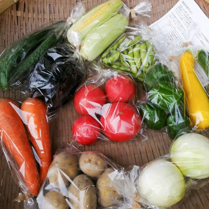 【定期便】ご家庭向けお野菜セット～旬のおまかせBOX～毎月12回分（1年間）_イメージ4