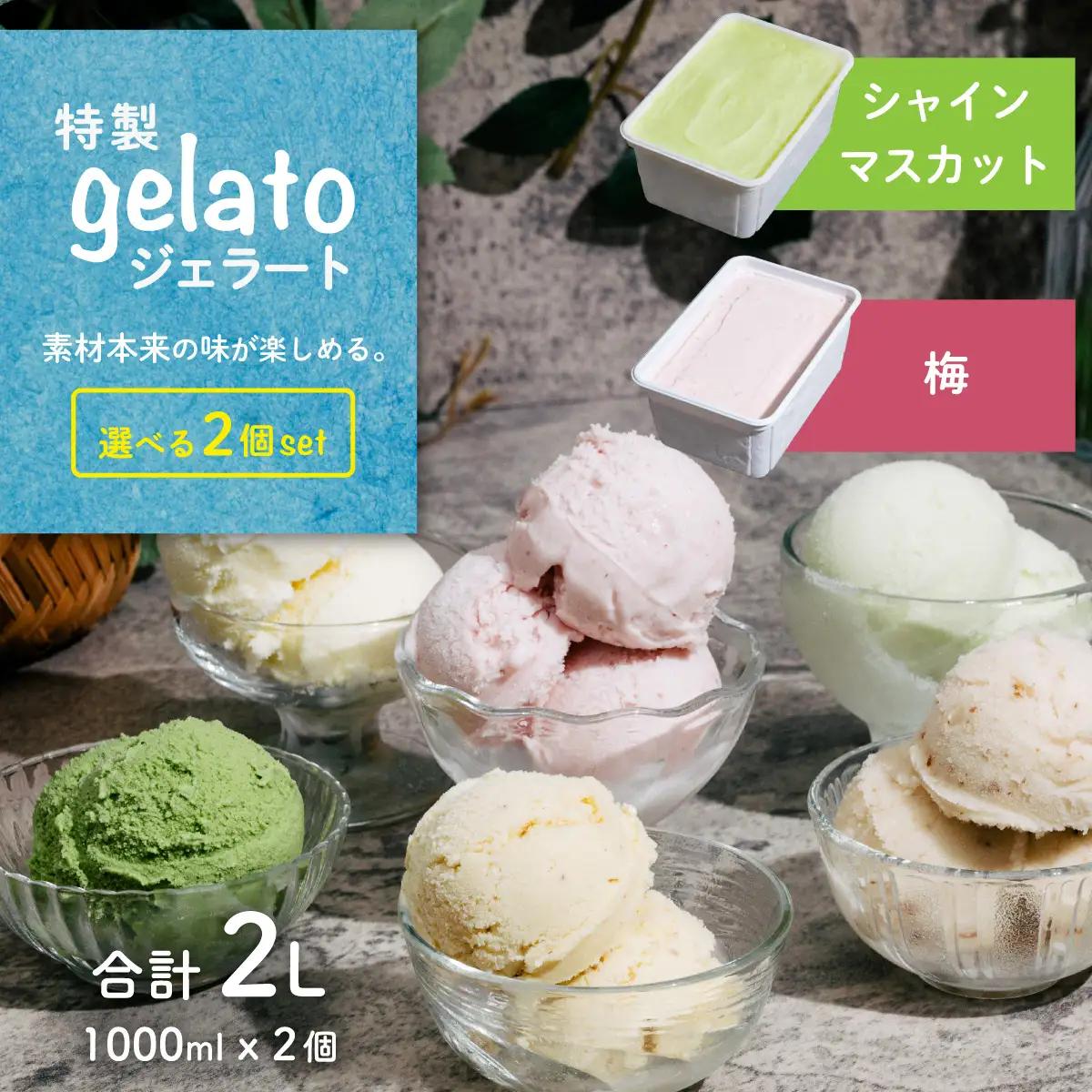ジェラート 1L×2個 アイス 梅 × シャインマスカット ジェラート