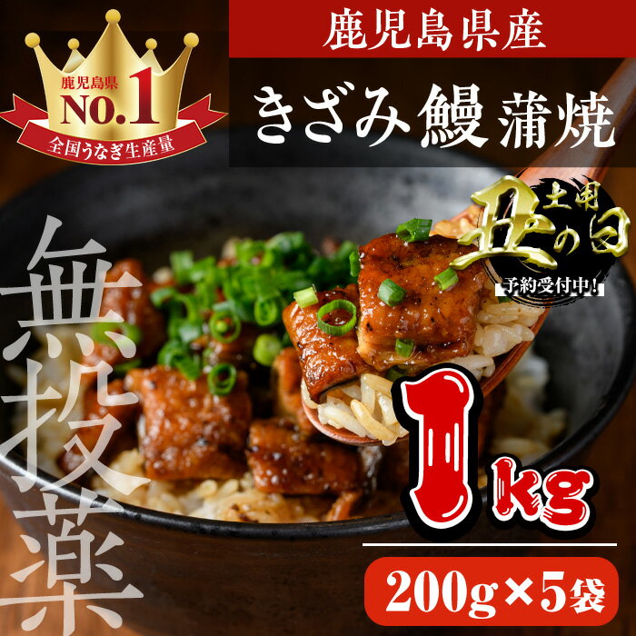 【ふるさと納税】＜丑の日先行予約受付中！＞鹿児島県産うなぎきざみ蒲焼セット (200g×5袋) 鰻 ウナギ きざみ うな重 ひつまぶし かばやき 九州産 国産 冷凍 真空パックうなぎ 蒲焼き【西日本養鰻】