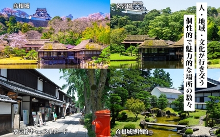滋賀県 彦根市 旅行クーポン 150,000円分 旅行券 彦根旅行券 宿泊券 彦根宿泊券
