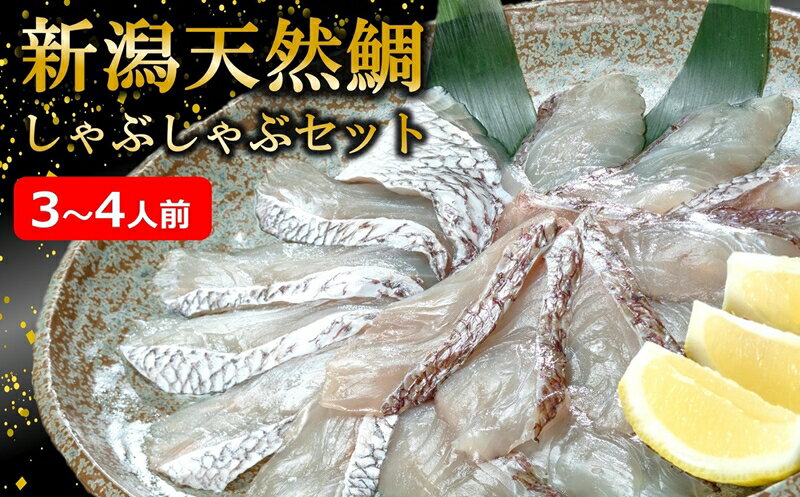 【ふるさと納税】【先行予約・令和8年3～5月発送】鯛しゃぶセット 3～4人前[Y0034]【 新潟県 柏崎市 】