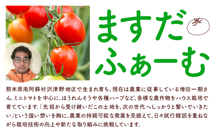 ミニトマト アイコ＆キャロルスター 約3kg ますだふぁーむ《7月上旬-11月末頃出荷》熊本県 南阿蘇村 アイコトマト キャロルスター 野菜 旬 夏野菜 トマト---sms_cmsfmak_af711