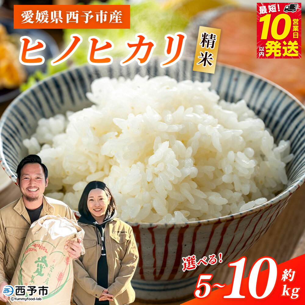 【ふるさと納税】＜令和7年産 西予市産 ヒノヒカリ 精米 約5kg/10kg＞ 選べる 内容量 ひのひかり お米 米 コメ こめ 白米 国産米 単一原料米 ご飯 5キロ 10キロ お弁当 雑穀 特産品 愛媛県産 株式会社宇都宮米穀 愛媛県 西予市【常温】『最短10営業日以内に順次出荷予定』