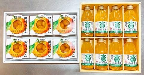 丸ごとみかんが3個入った！田村みかんフルーツまるごとゼリー6個＆みかん果汁100％ジュースセット8本【uot105】